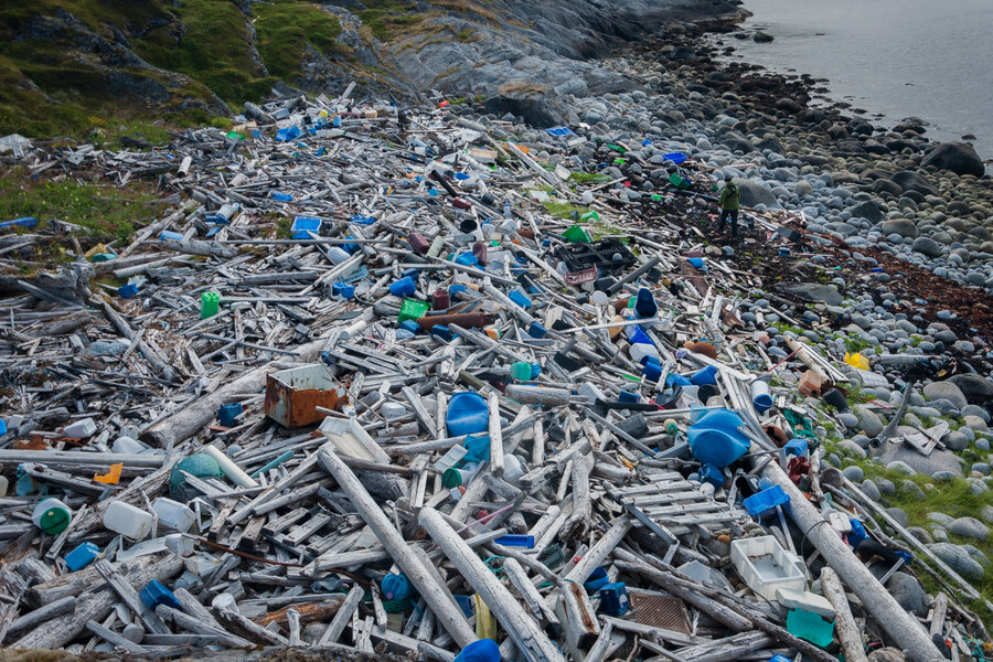 Shoreline buried under drifted plastic and driftwood