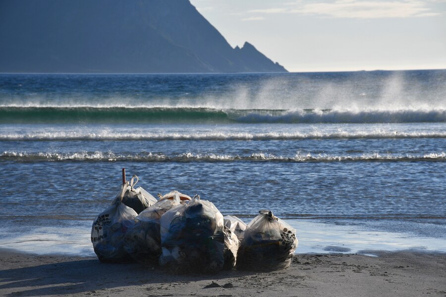 Bags of collected waste on the beach in front of breaking surf