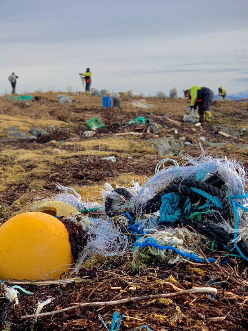 Buoy and tangled rope washed up on the tundra